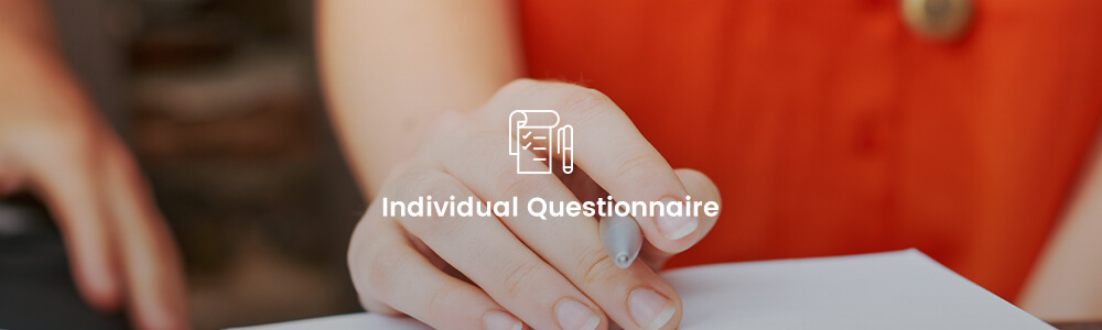 Individual Questionnaire